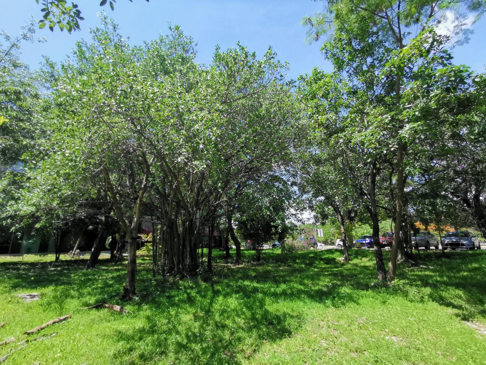 Beautiful & Cozy Near Beach Apartment Pool & Kingsize Bed Cancún Quarto foto